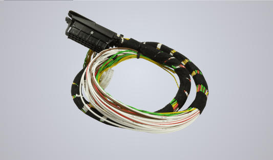 inomatic wiring harness PICO-FP ONE – central control unit